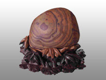 ��ά��С�ܡ�