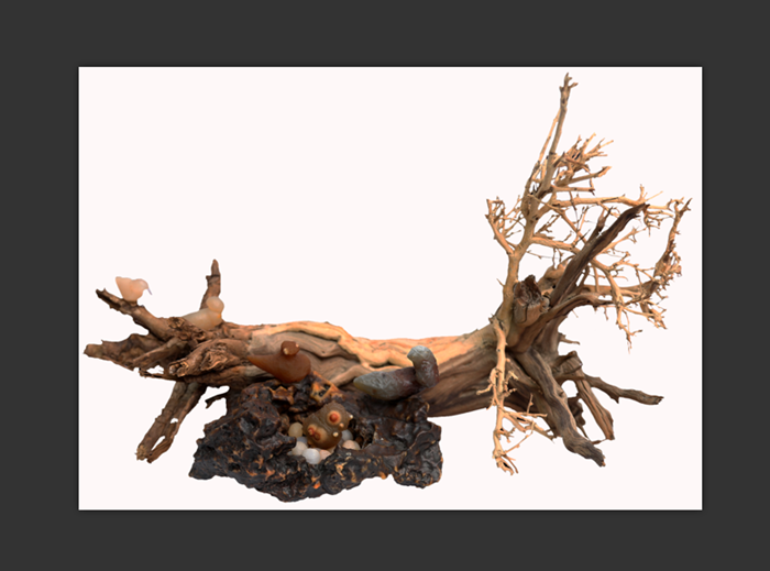 ���������޾���