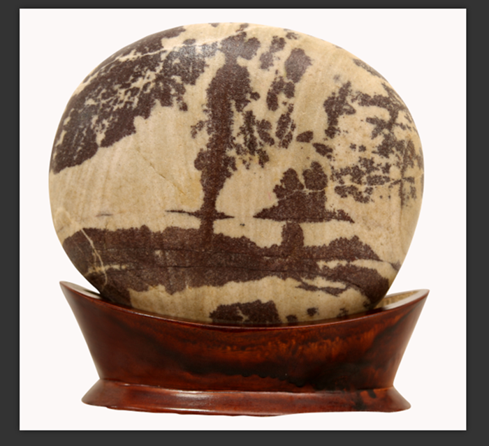 ����������