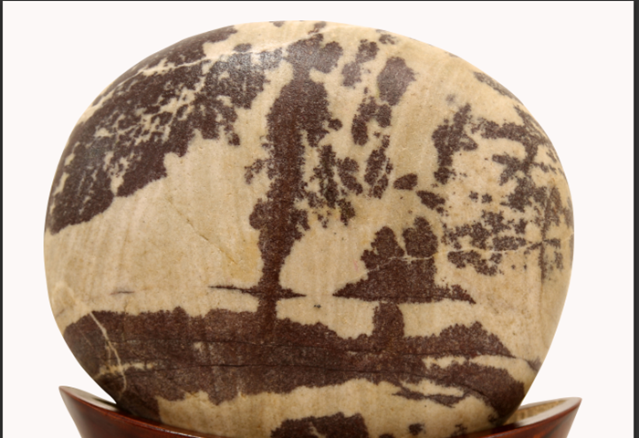 ����������