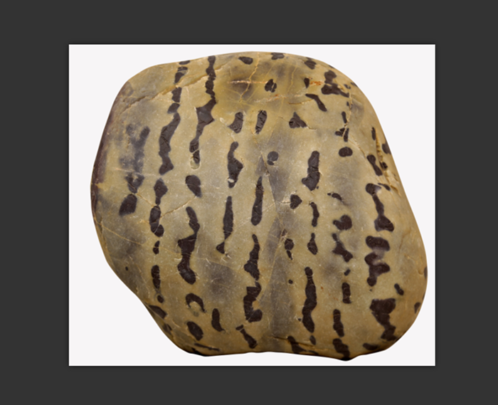 ����ʥ��ī��