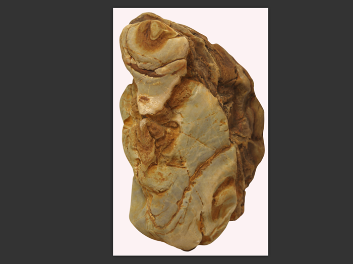 �����ص�Զ��