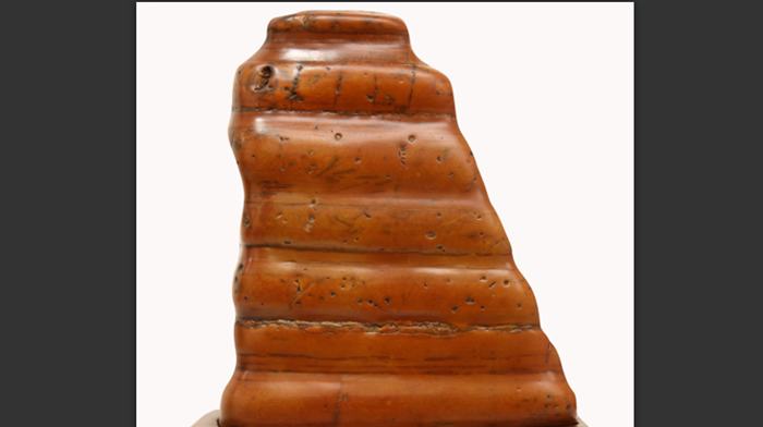 ���߼�������