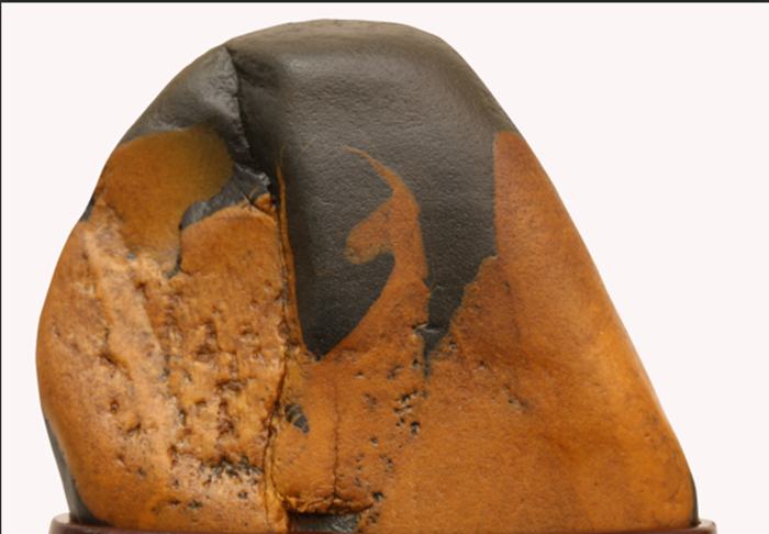 ������¹��