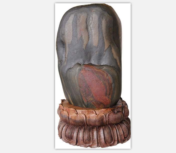 ���������ơ�