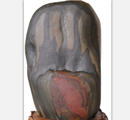 ���������ơ�