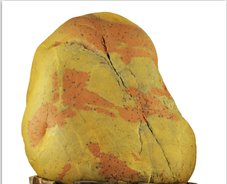 ���Ա�����