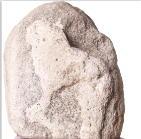 ����Х������