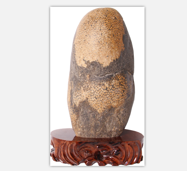 ��ɺ����ʯ��