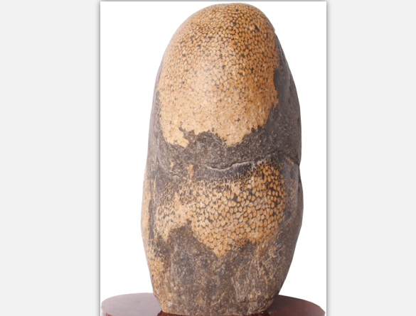 ��ɺ����ʯ��