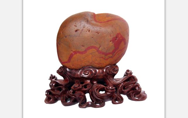 ���������Ρ�