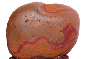 ���������Ρ�