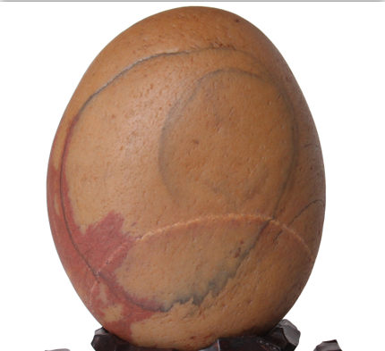 ����Х���硿