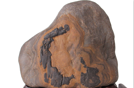 ��������ӡ�