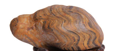 �������١�