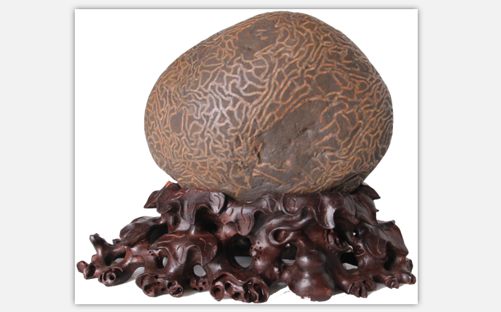 ����������