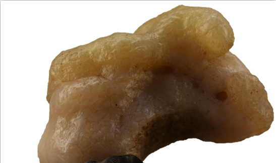 ��˫��͸���