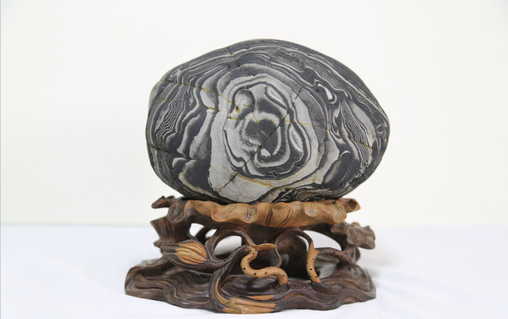 ����������