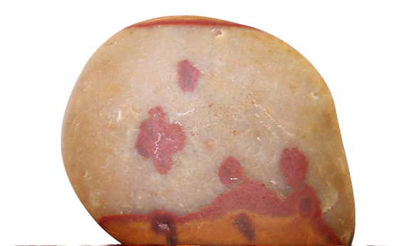 ��ͬ�۹��á�