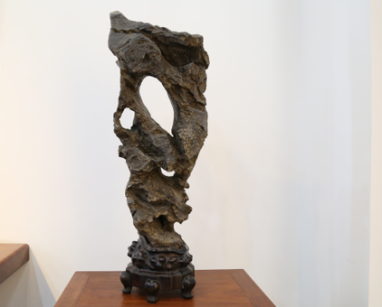 �����¡�