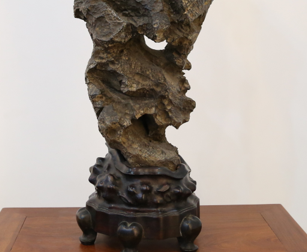 �����¡�