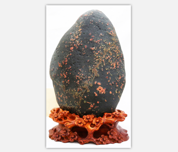 ����÷������