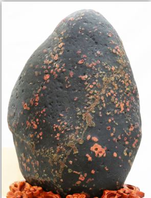 ����÷������