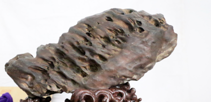 ����Ծ���š�