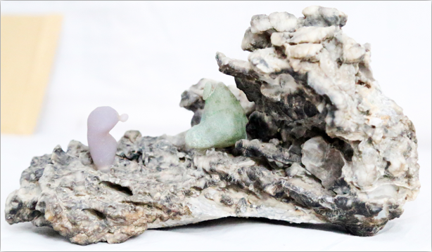 �����������