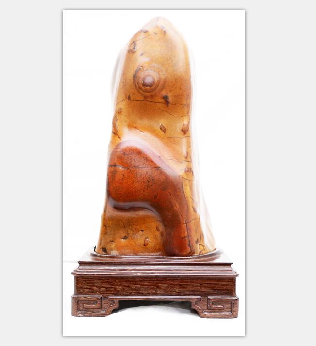 �����Ǹ��ա�