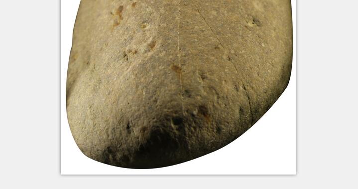 ���ƹ��ġ�