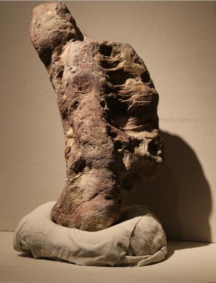 �����ʸ��š�