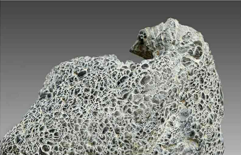 �����鼦��