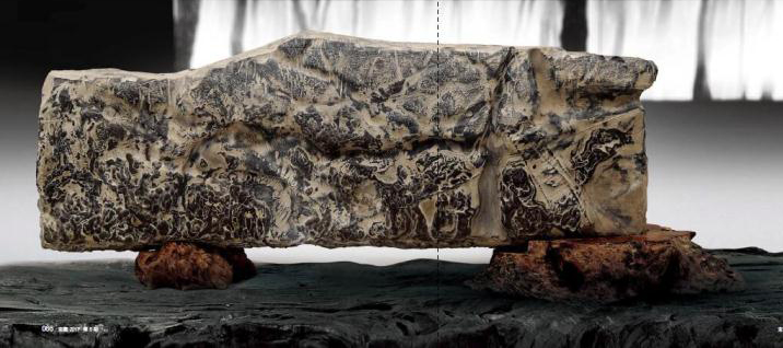 ���ƺ�������