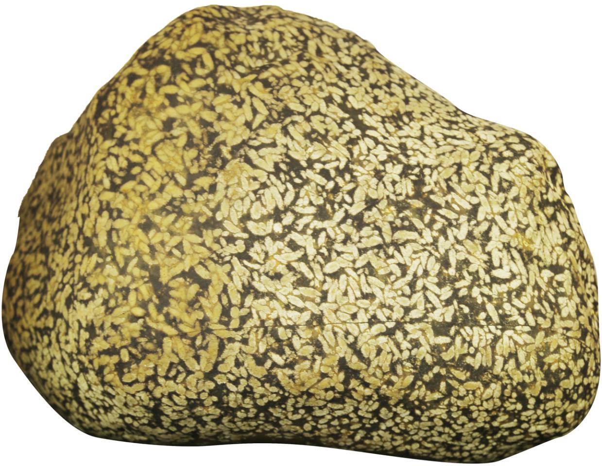 ��ũ����