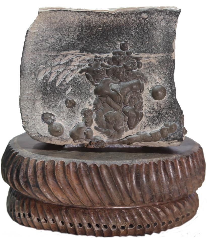 ����������