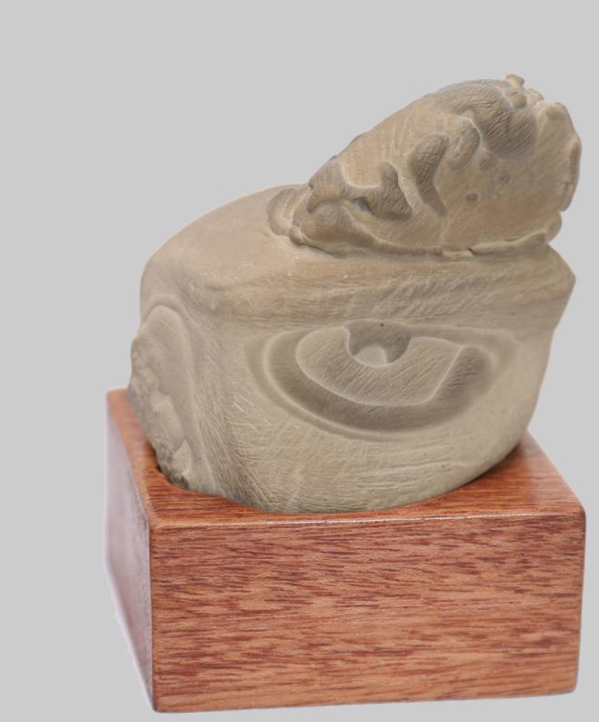 ����ӡ��