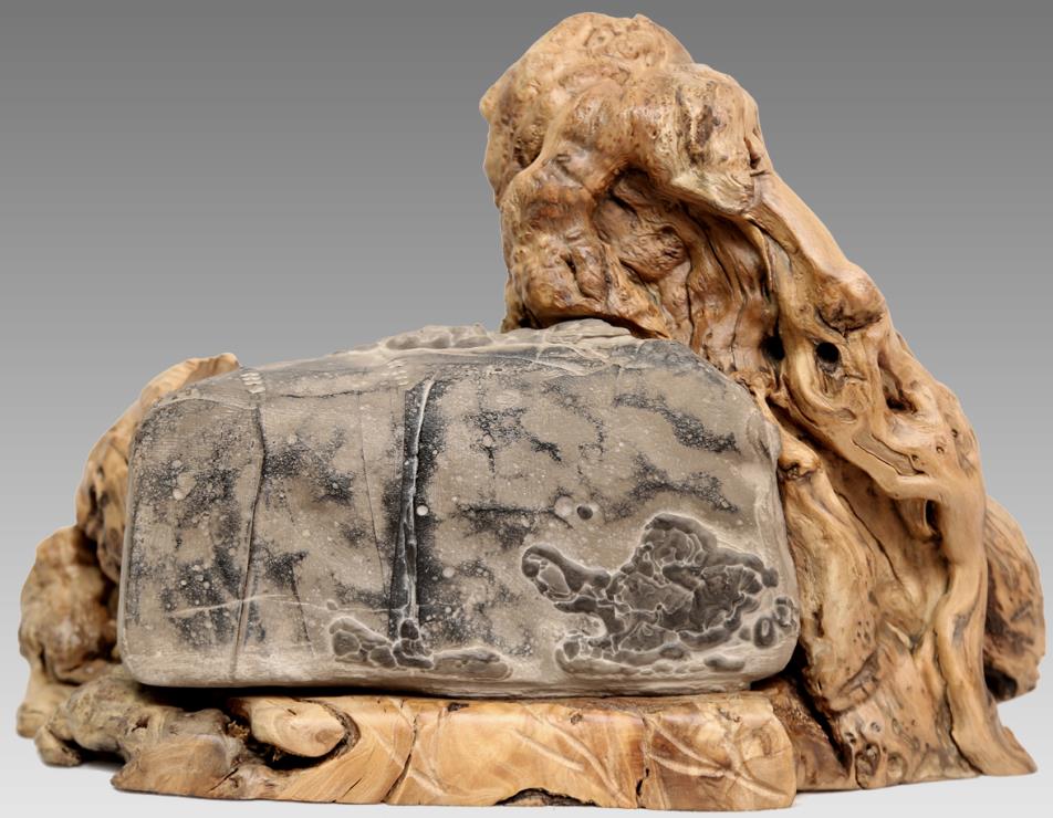 ���۸���