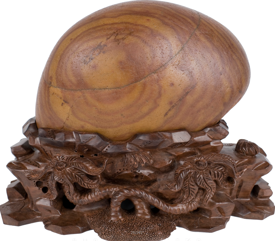 �Ҹ��񻨶�һ��