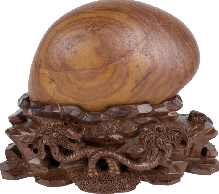 �Ҹ��񻨶�һ��