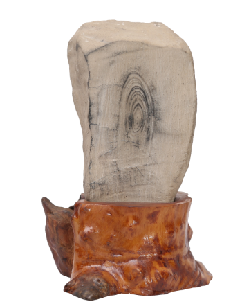 ��������1