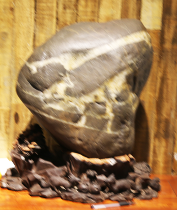 ����һֻ�׺�