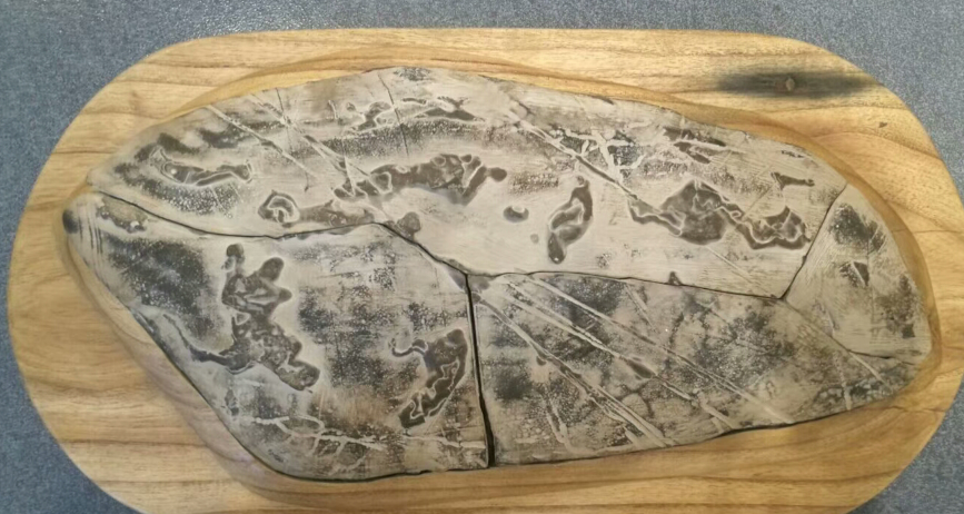 �����޸衿