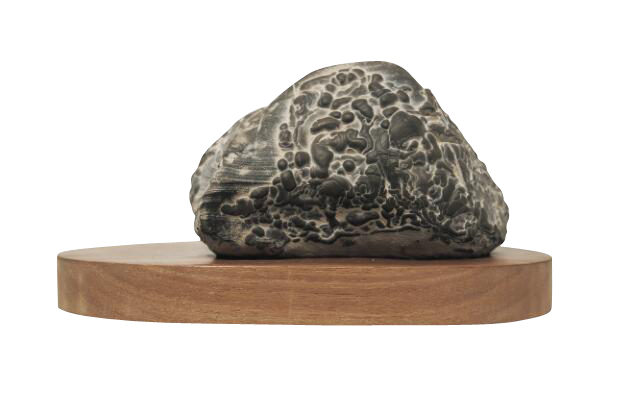 ���˻�Ĵ�˵